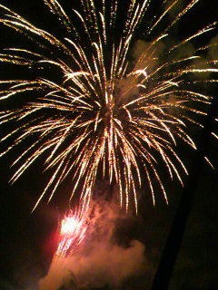 Fire��Flower