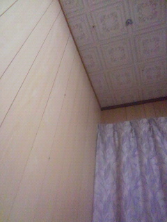 �M��L
