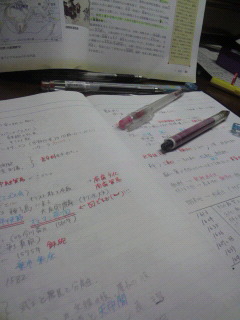 �e�X�g�׋�